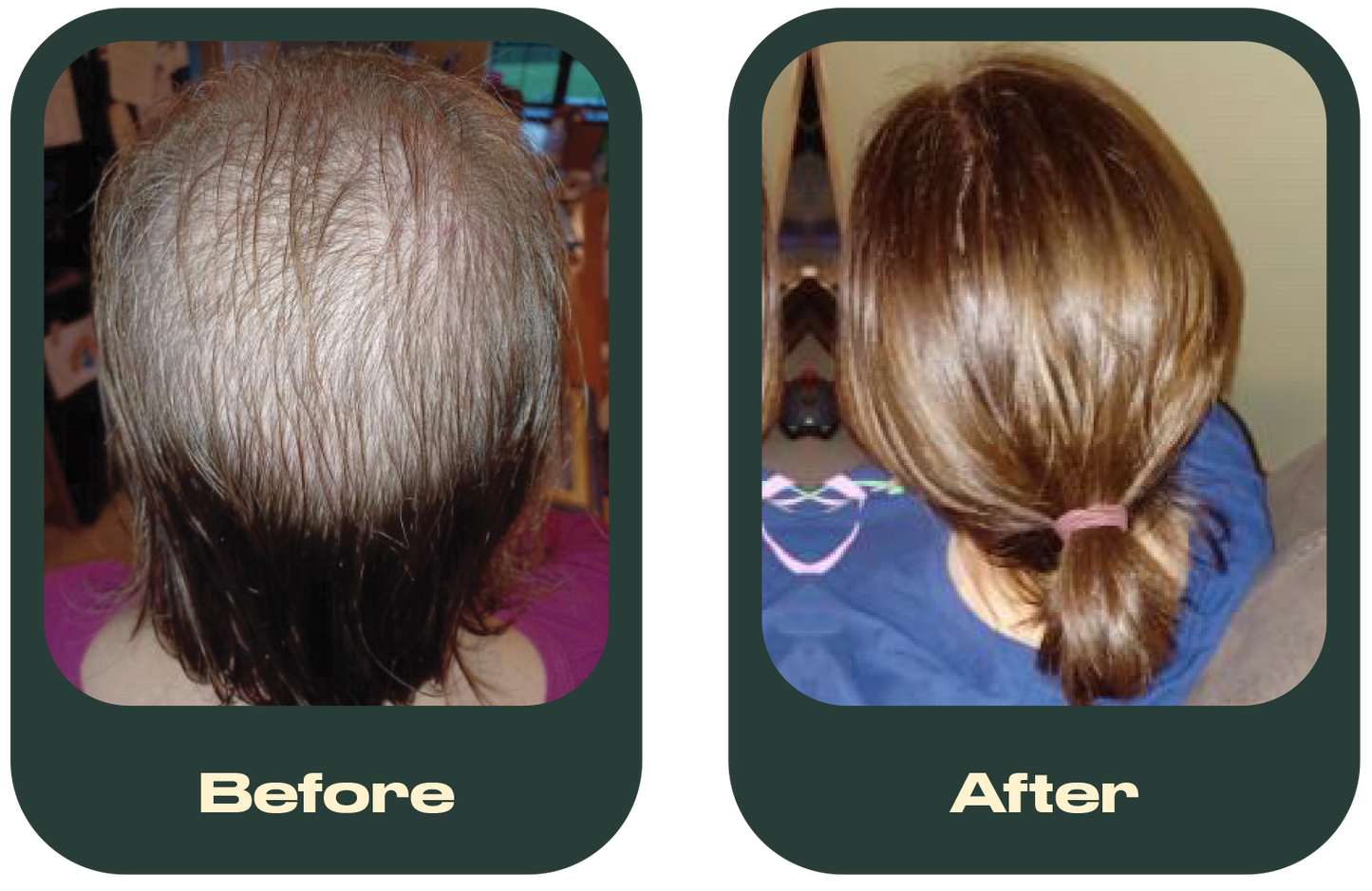 Grow It - 6 Months