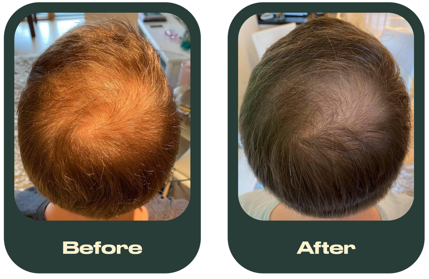 Grow It - 6 Months